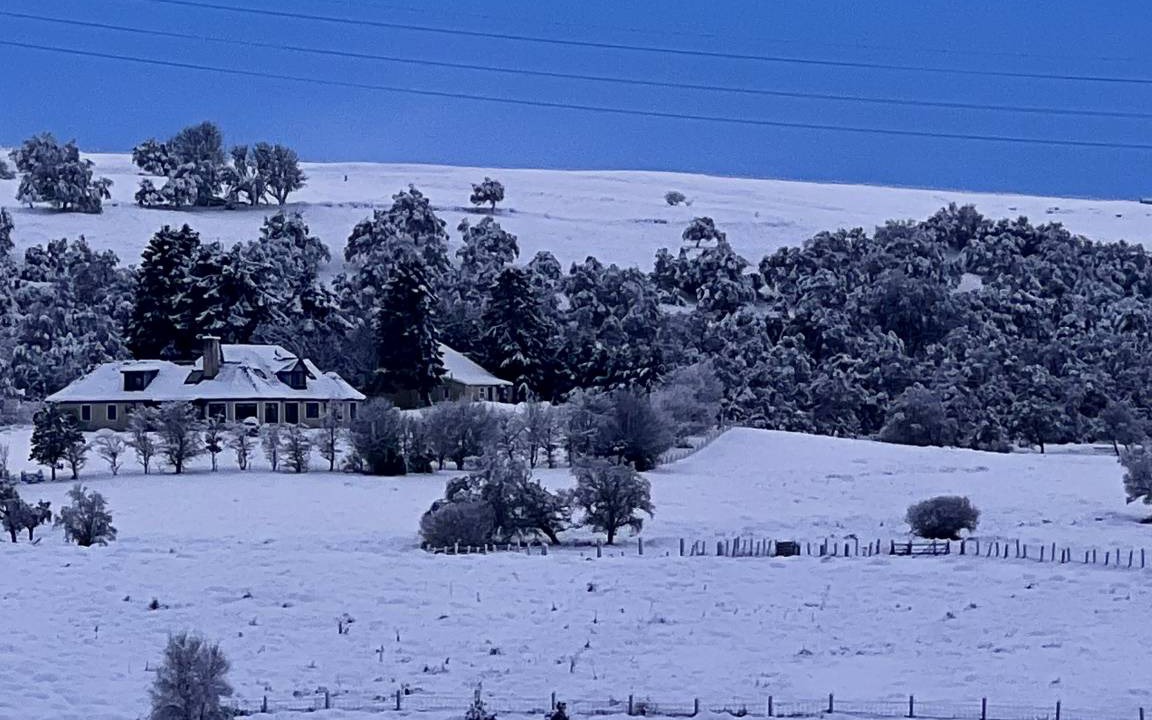 Photo of Others in Lairg