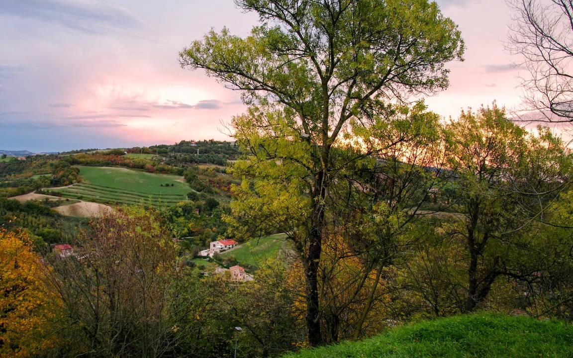 Photo of Others in Mondavio