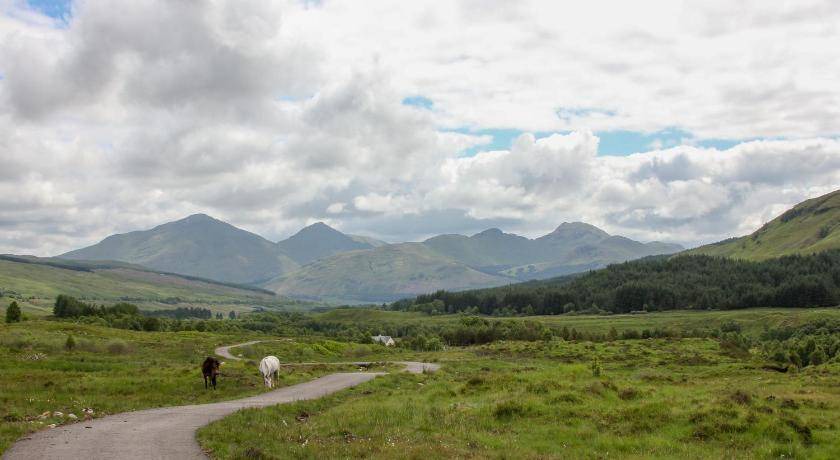 Photo of Others in Tyndrum