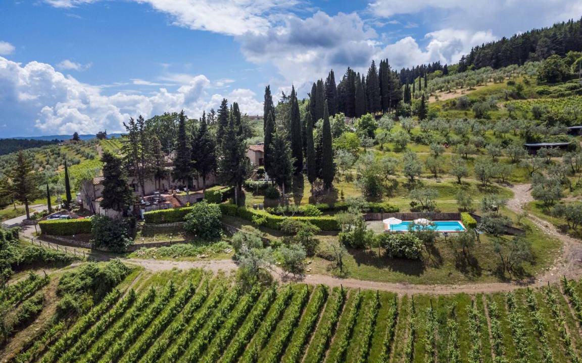 Photo of Others in Greve in Chianti