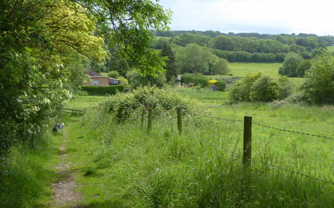 Photo of Others in Shipham
