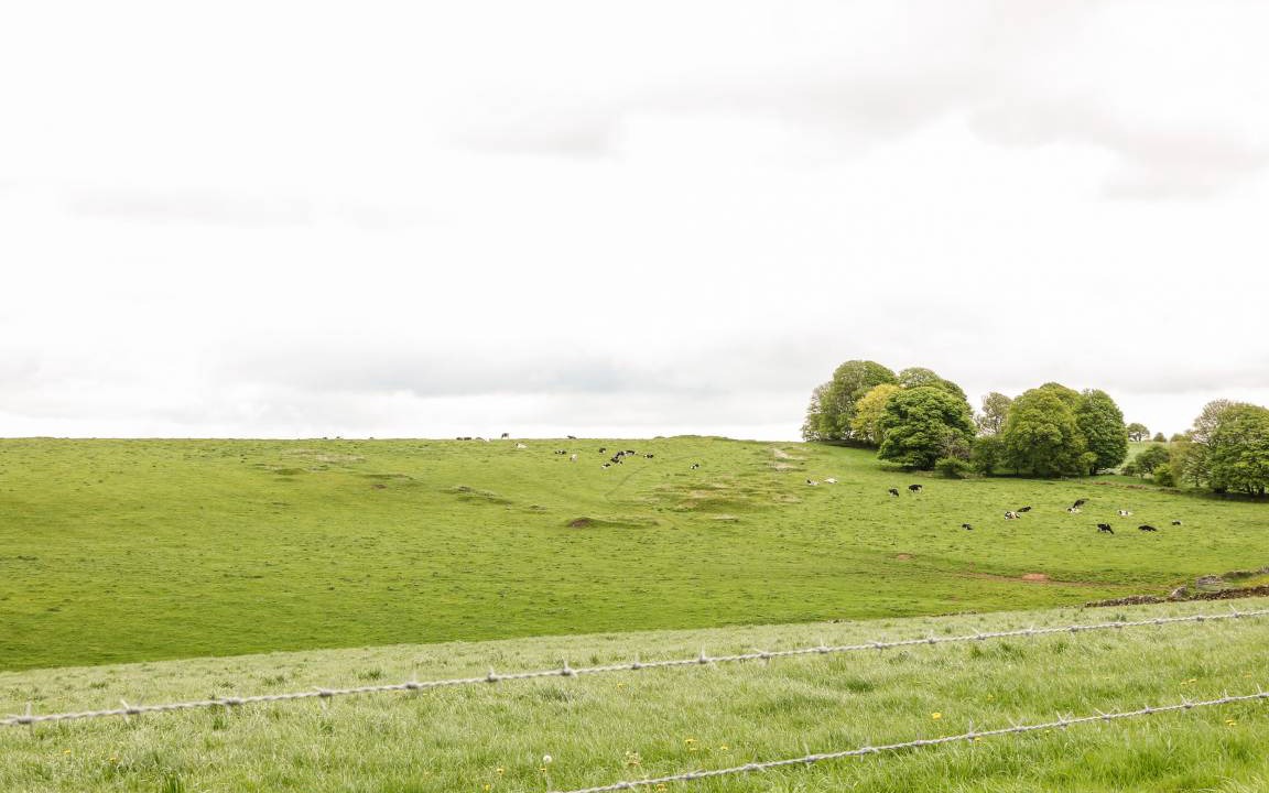 Photo of Others in Newton Grange