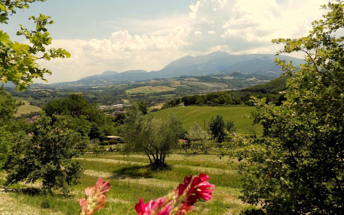 Photo of Others in Cagli