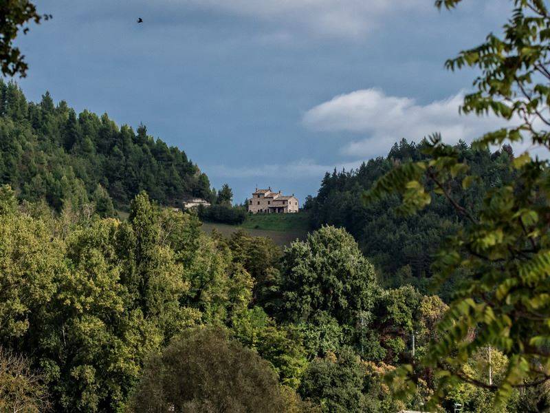 Photo of Others in Montelparo
