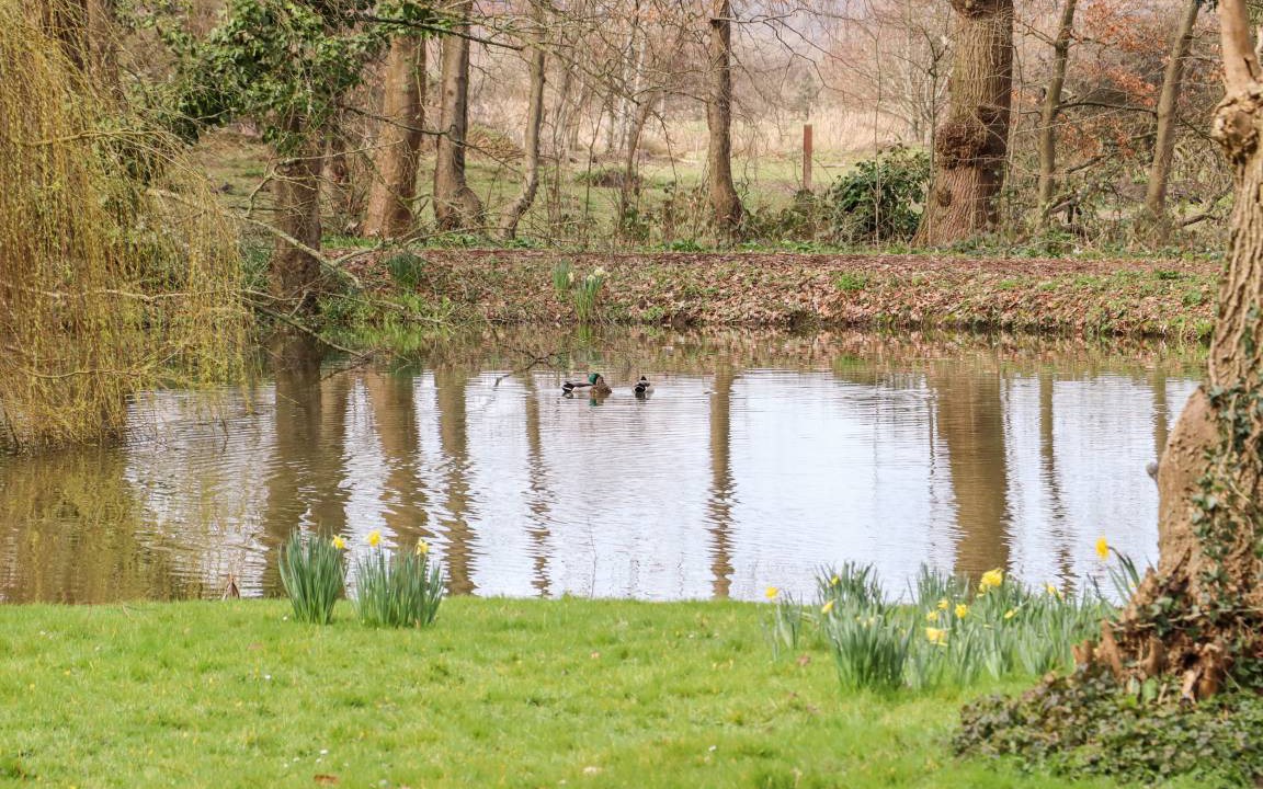 Photo of Others in Pevensey