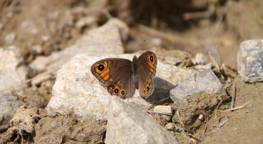 Photo of Others in Male