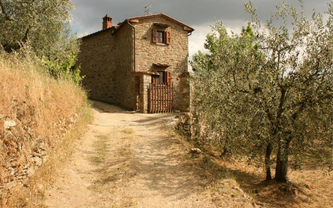 Photo of Others in Montecchio