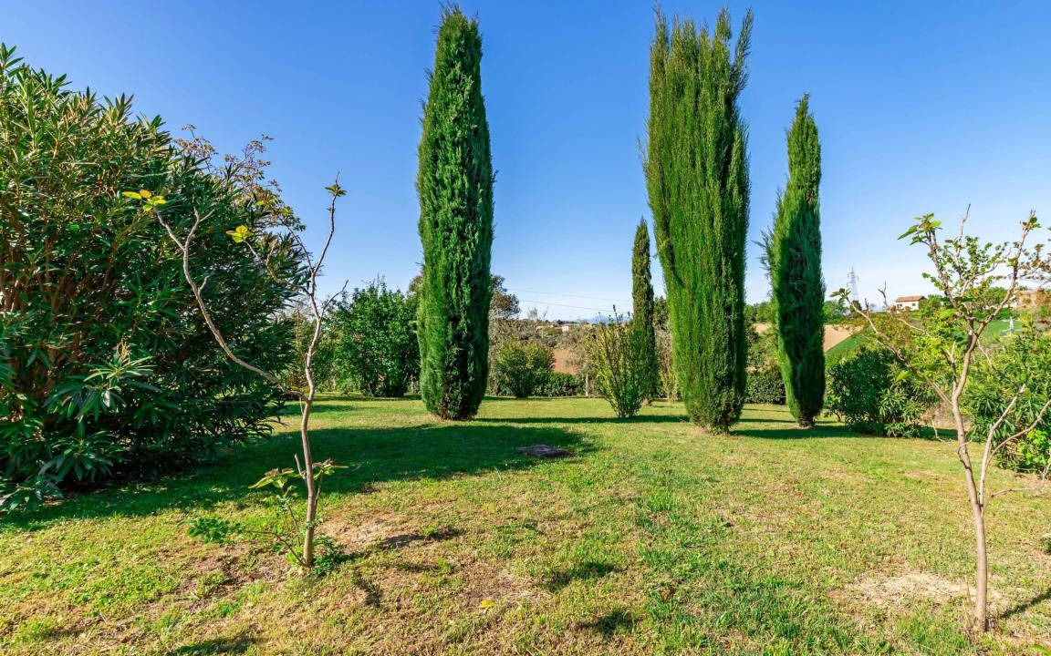 Photo of Outdoor in Bettolelle