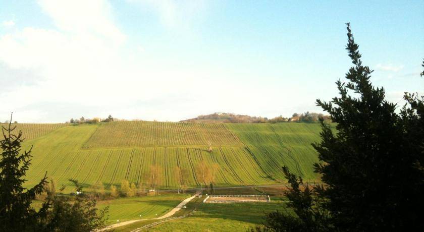 Photo of Others in Offagna