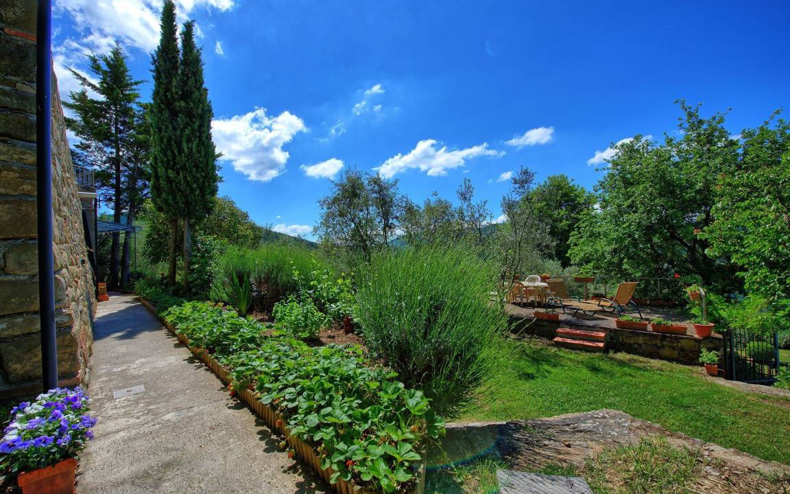 Photo of Others in Greve in Chianti