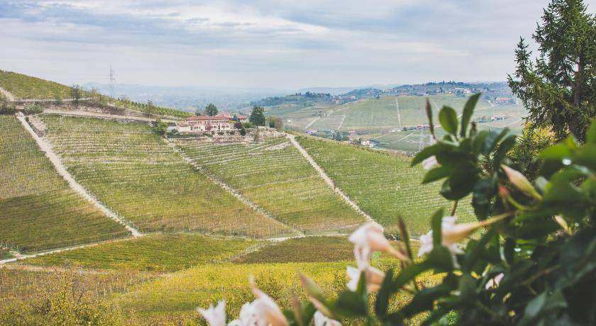 Photo of Others in Barbaresco