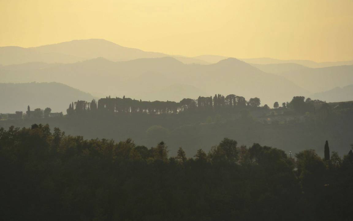 Photo of Others in Montone