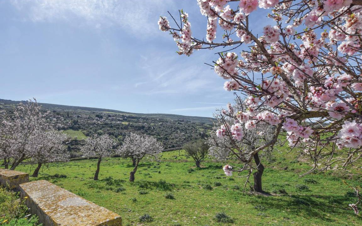 Photo of Others in Chiaramonte Gulfi