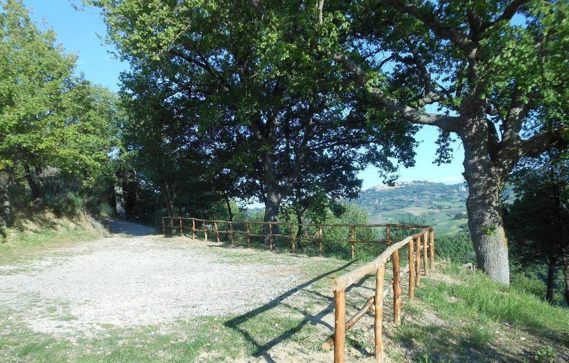 Photo of Others in Montefollonico