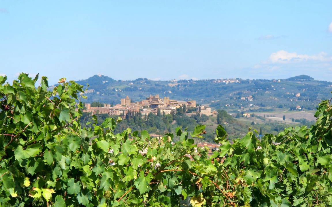 Photo of Others in Gorgognano