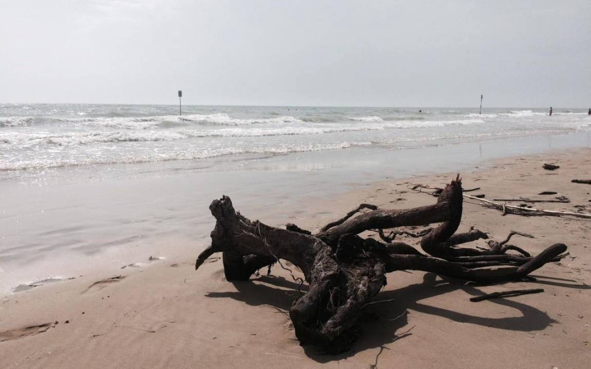 Photo of Others in Bibione