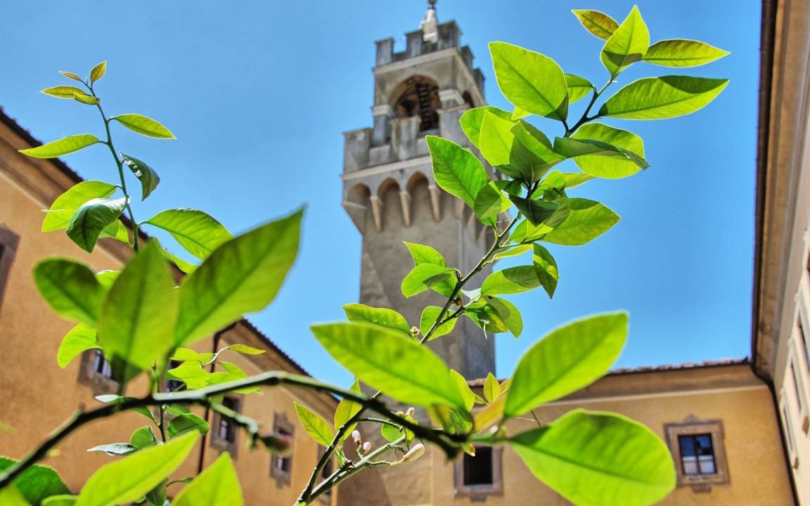 Photo of Others in Montegufoni