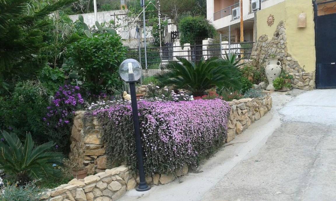 Photo of Others in Nebida