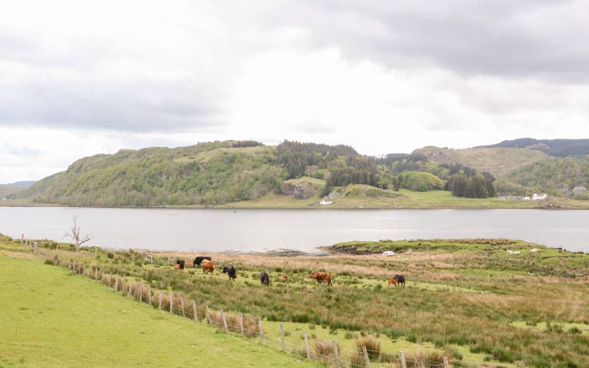 Photo of Others in Balvicar
