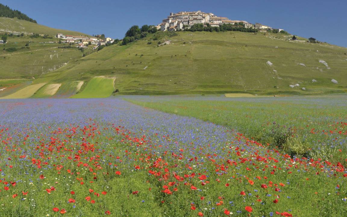Photo of Others in Montone