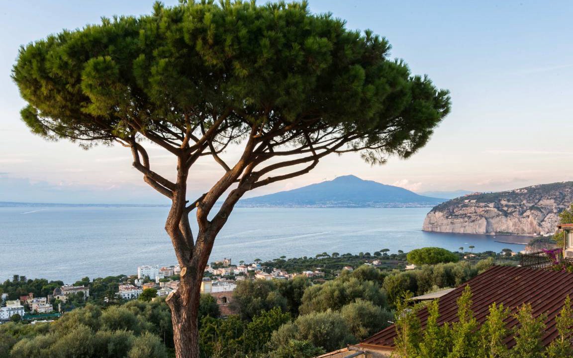 Photo of Others in Sorrento
