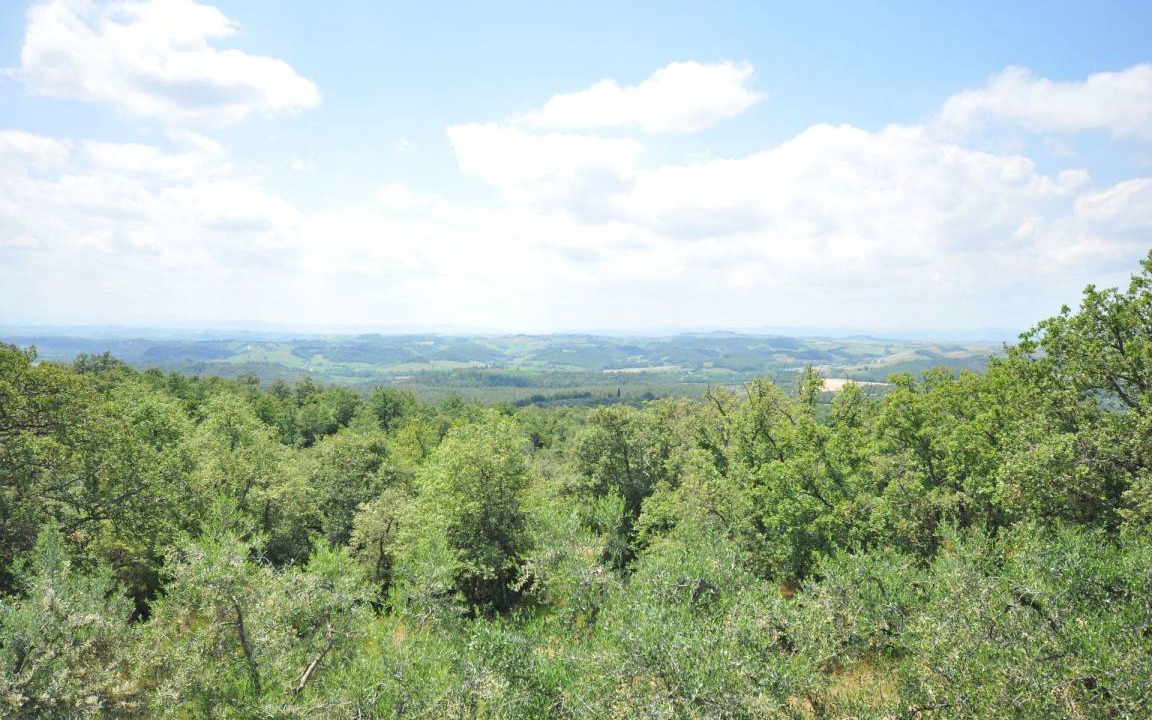 Photo of Others in Castelnuovo Berardenga