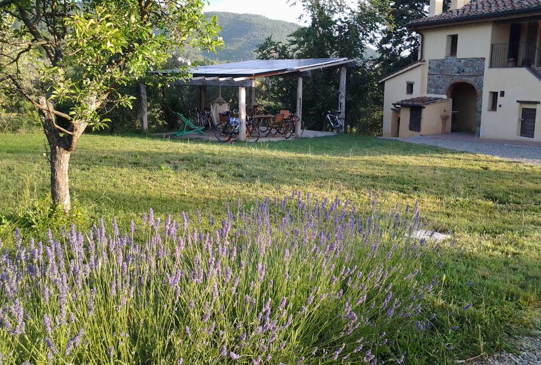 Photo of Others in Figline e Incisa Valdarno