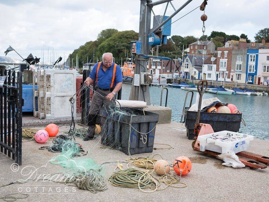 Photo of Others in Weymouth