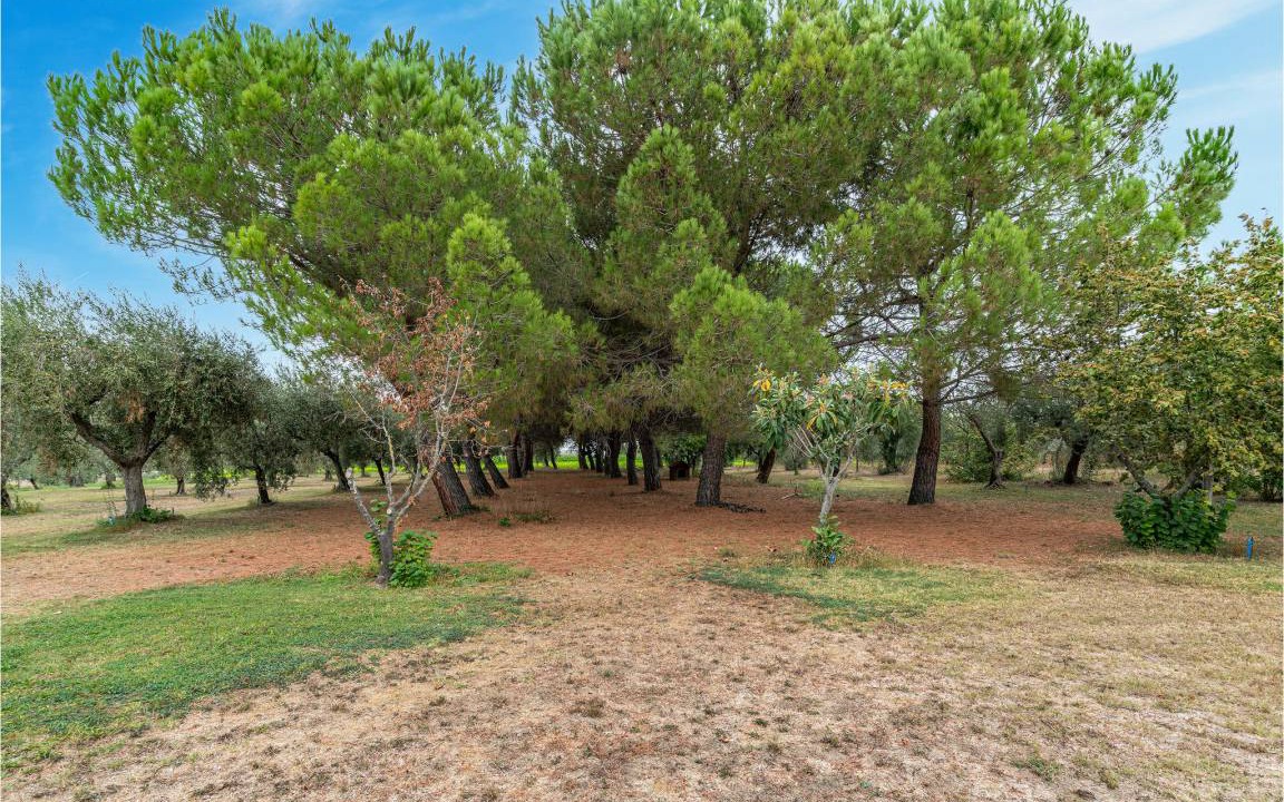 Photo of Others in Morro dʼOro