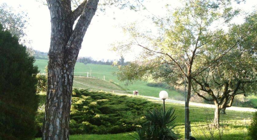 Photo of Others in Offagna