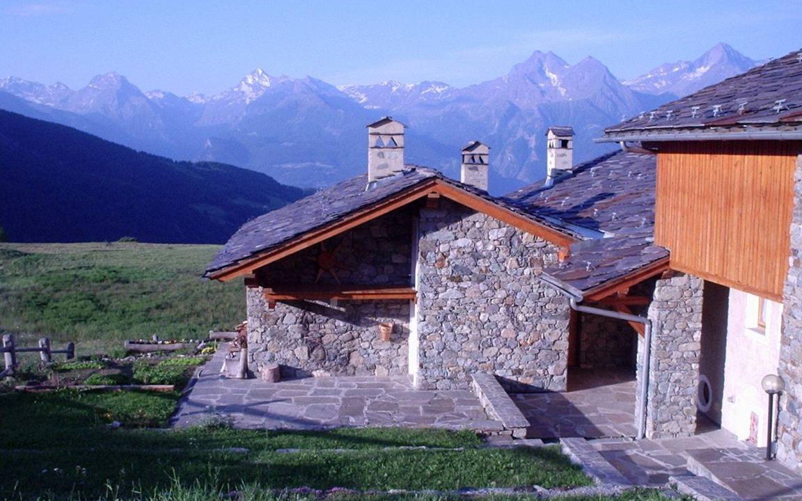 Photo of Others in Venoz