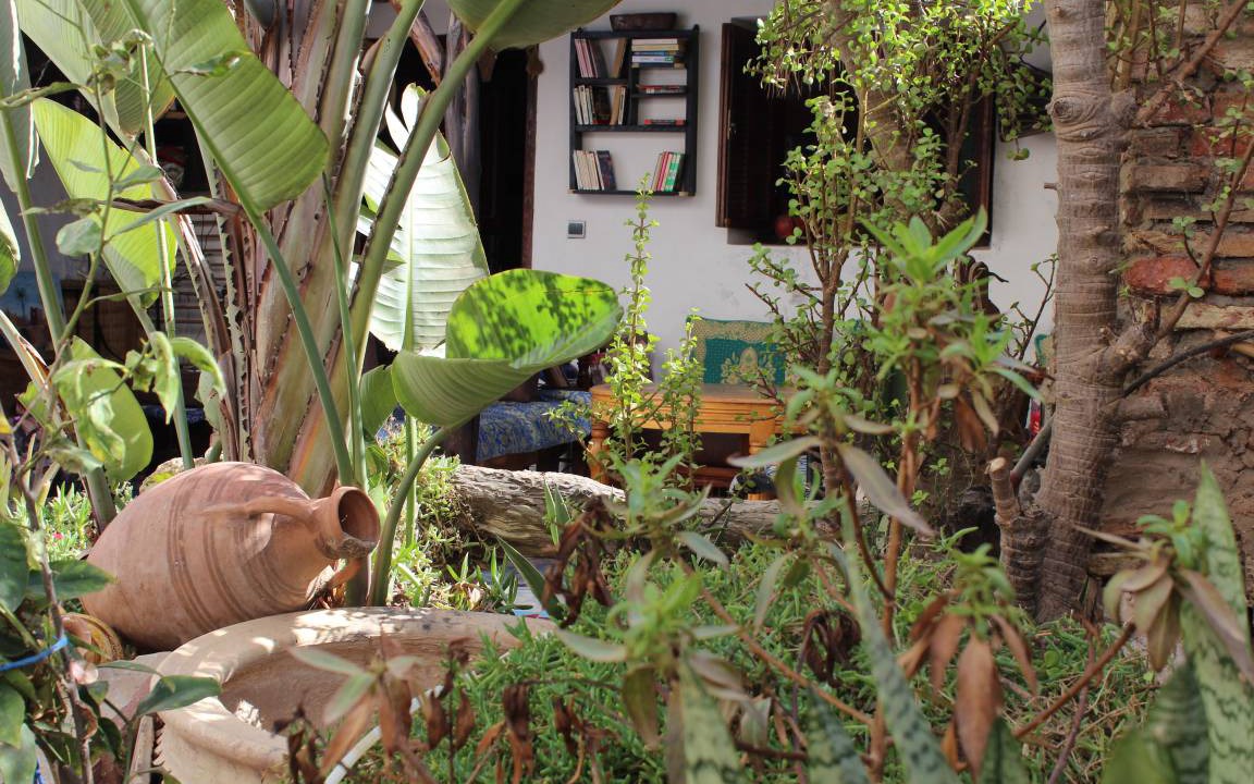 Photo of Others in Essaouira