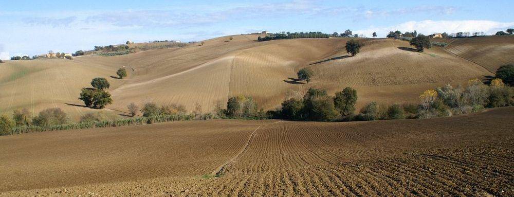 Photo of Others in Macerata