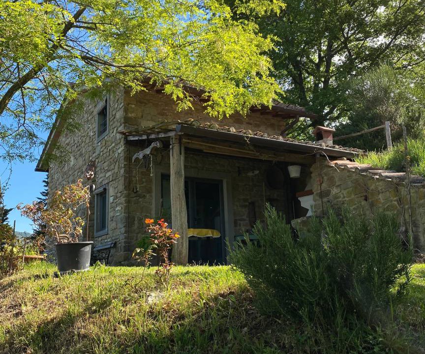 Photo of Others in Vicchio