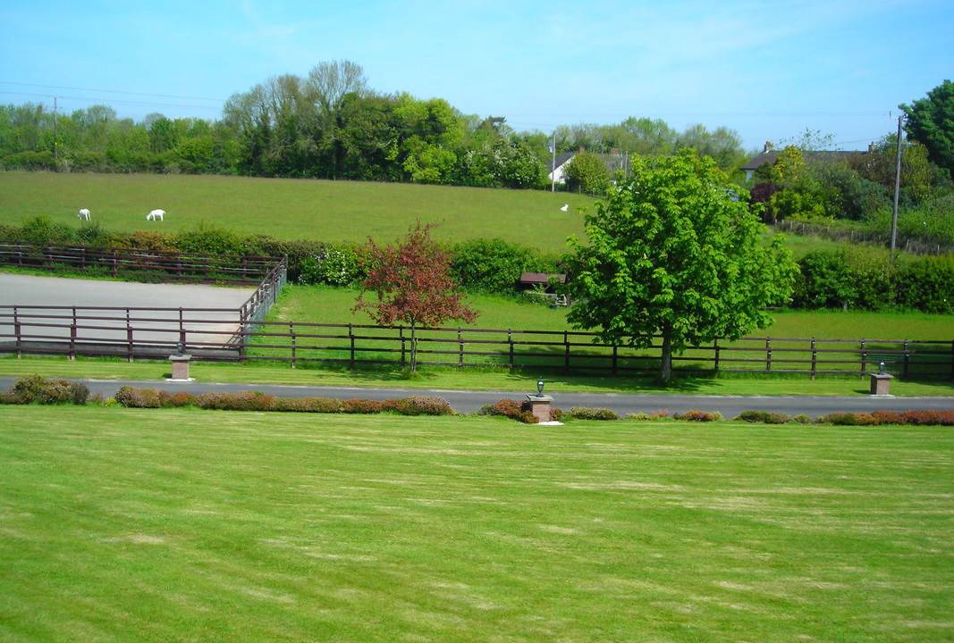 Photo of Others in Downpatrick