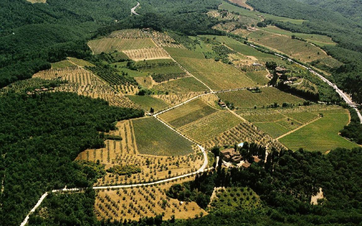 Photo of Others in Barberino Tavarnelle