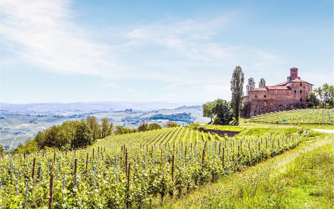 Photo of Others in Vignale Monferrato