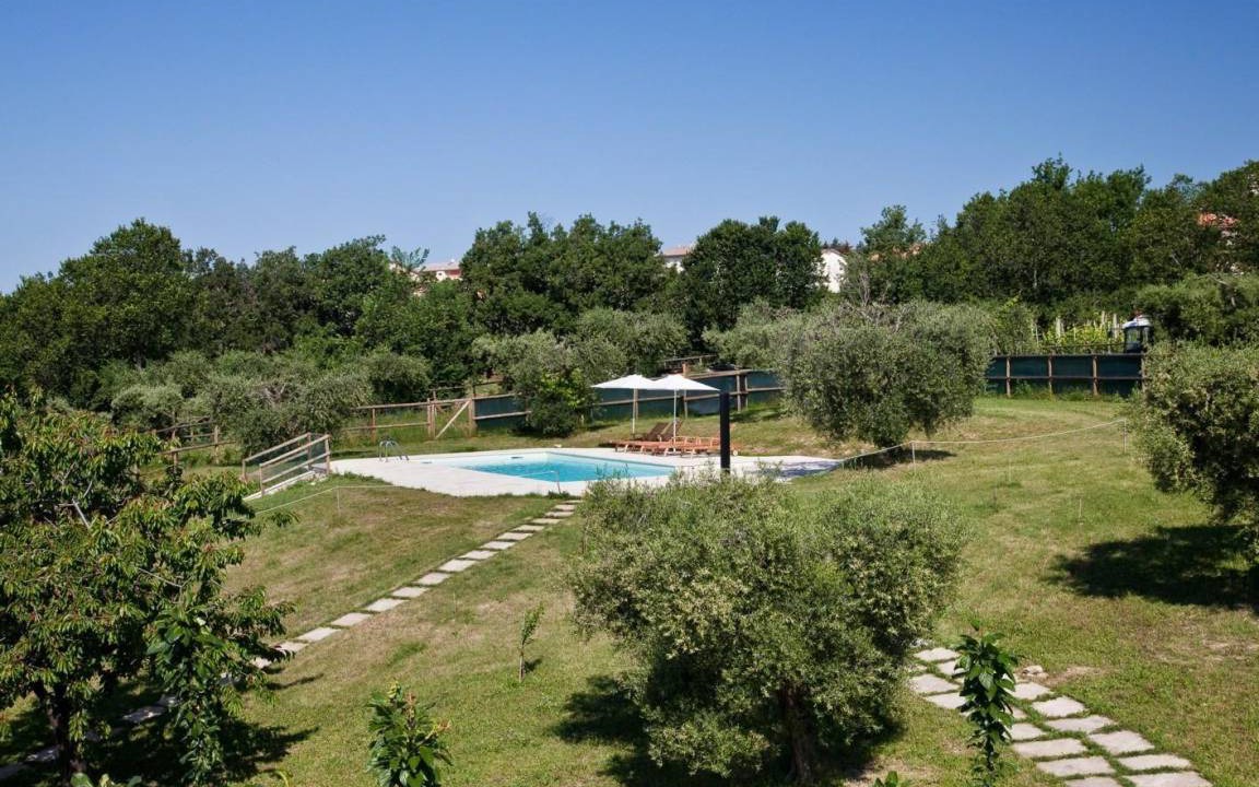 Photo of Others in Montegiorgio