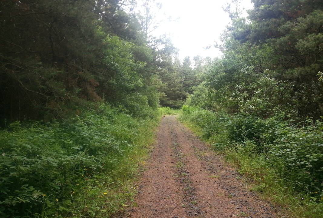 Photo of Outdoor in Ballycastle
