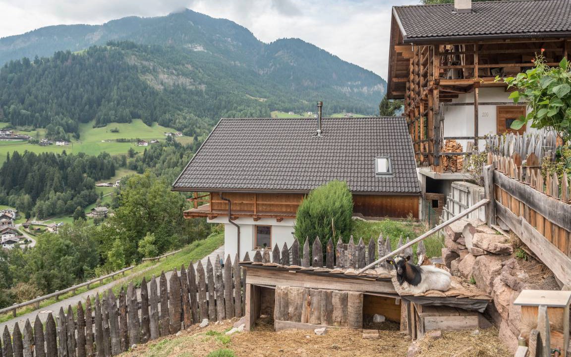 Photo of Others in Ortisei