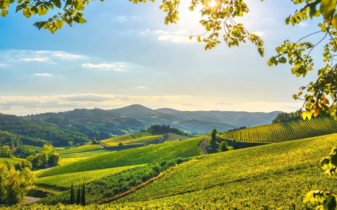 Photo of Others in Radda in Chianti