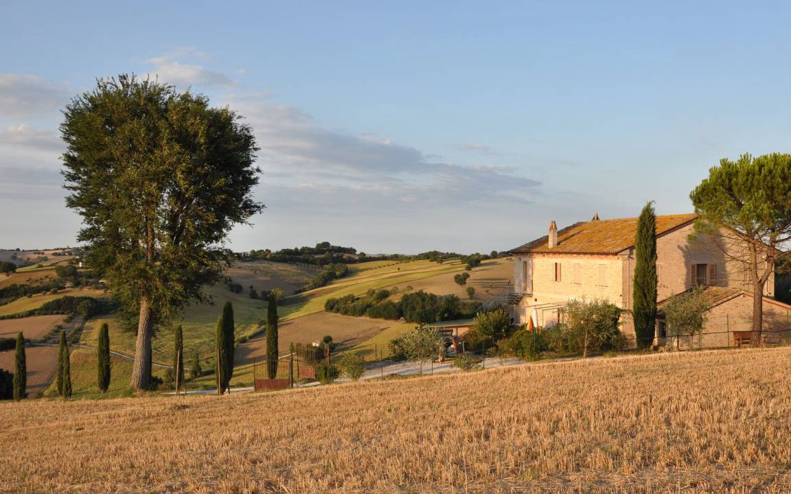 Photo of Others in Ostra