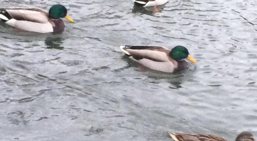Photo of Others in Kilkeel