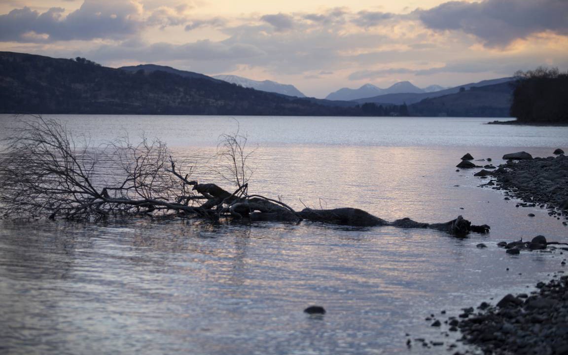 Photo of Others in Loch Tay