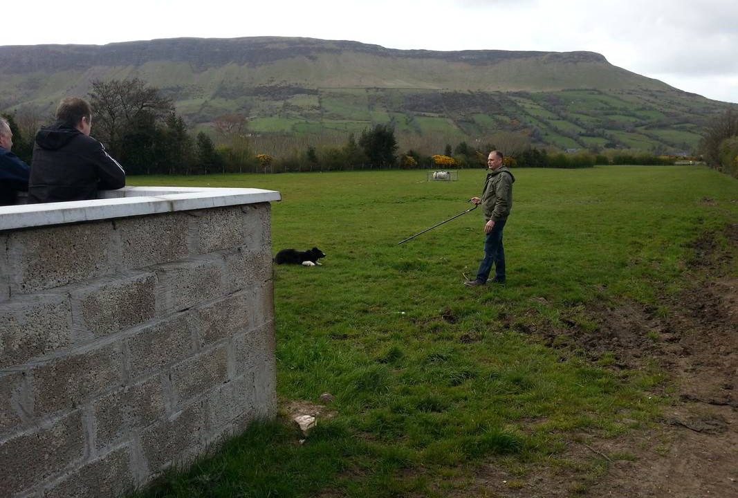 Photo of Others in Ballycastle