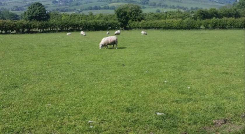 Photo of Others in Cushendall