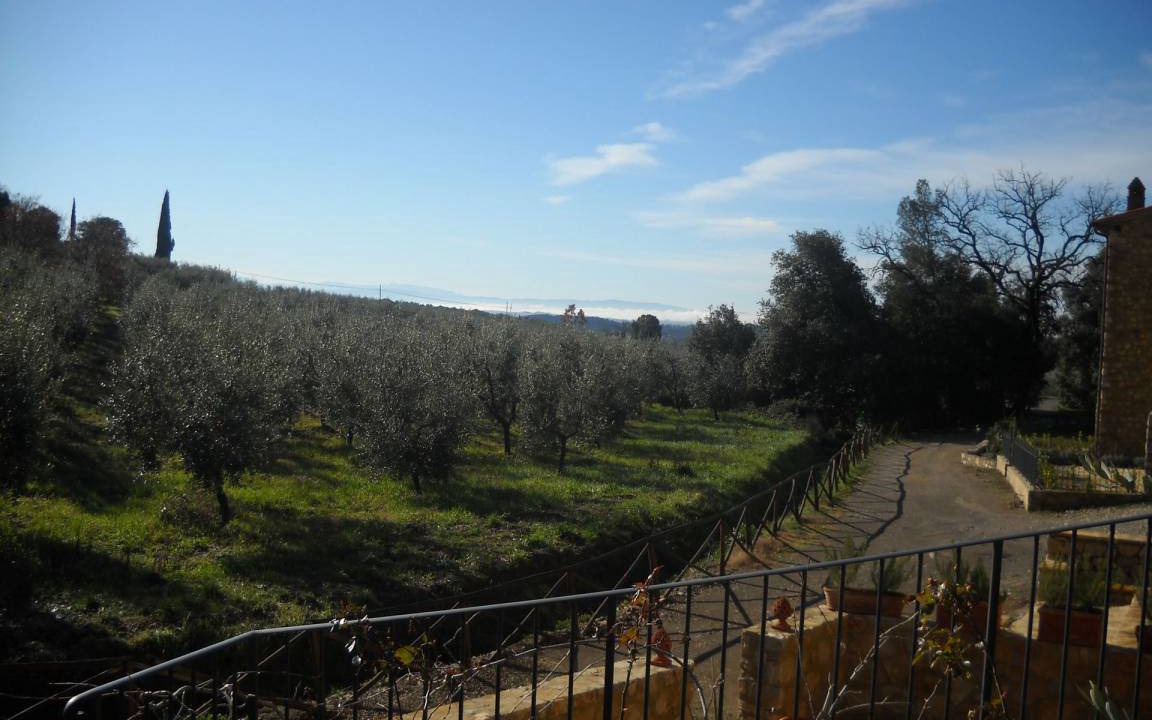Photo of Others in Villa A Sesta