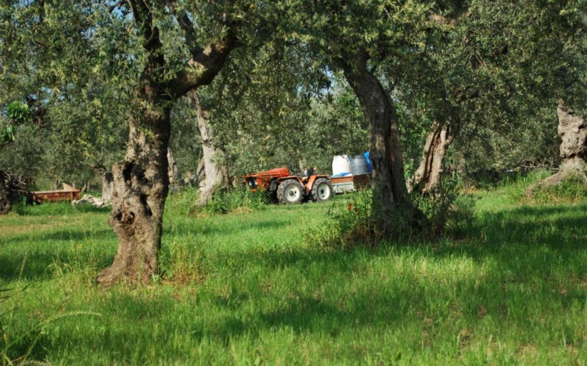 Photo of Others in Tocco da Casauria