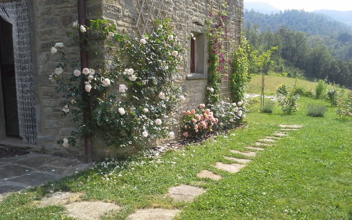 Photo of Others in Sestino