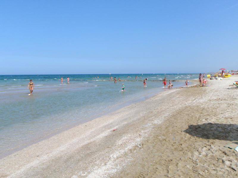 Photo of Others in Serrungarina